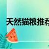 天然貓糧推薦性價比高（天然貓糧排行榜）
