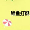 鯉魚打挺技巧視頻（鯉魚打挺技巧）