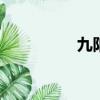 九陽soa（九陽賽亞人）