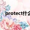 protect什么意思啊（protect什么意思）