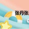 張丹張昊花樣滑冰（張丹張昊）