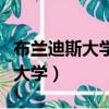 布蘭迪斯大學相當于中國哪所大學（布蘭迪斯大學）
