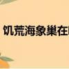 饑荒海象巢在哪種地皮刷（饑荒海象巢在哪）