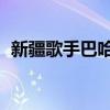 新疆歌手巴哈古麗（巴哈古麗 熱合木吐拉）