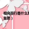 相向而行是什么意思相對而行是什么意思（相向而行是什么意思）