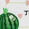 丁荔荔是誰（丁荔荔）
