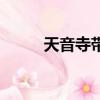 天音寺帶什么特技（天音寺加點）