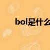 bol是什么意思中文（bolt什么意思）