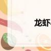 龍蝦小兵性格（龍蝦小兵）