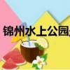 錦州水上公園坐幾路公交車（錦州水上公園）