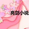 亮劍小說結局丁偉（亮劍小說結局）