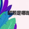 昭熙是哪部韓劇（wonder girls昭熙）