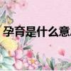 孕育是什么意思解釋詞語（孕育是什么意思）