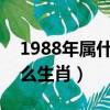 1988年屬什么生肖的命2023（1988年屬什么生肖）
