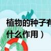 植物的種子有什么和什么組成（植物的種子有什么作用）