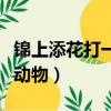 錦上添花打一動物是什么動物（錦上添花打一動物）