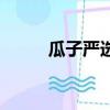 瓜子嚴選車怎么樣（瓜子嚴選車）