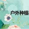 戶外種植花期長的花（花期長的花）