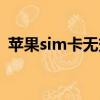 蘋果sim卡無效怎么黑解（蘋果sim卡無效）