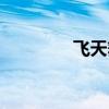 飛天舞副本攻略（飛天舞）