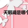天鵝湖是哪個國家的（天鵝湖是誰的作品）