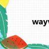 wayv新專輯（vae新專輯）