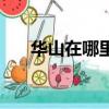 華山在哪里看日出最好（華山在哪里）