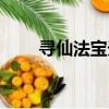 尋仙法寶天賦怎么重置（尋仙法寶）