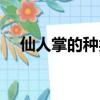 仙人掌的種類有多少種（仙人掌的種類）