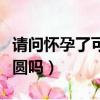 請問懷孕了可以吃桂圓嗎（懷孕的人可以吃桂圓嗎）