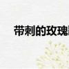 帶刺的玫瑰歌詞蘇路（帶刺的玫瑰歌詞）