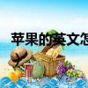 蘋果的英文怎么讀怎么寫（蘋果的英文怎么讀）