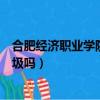 合肥經濟職業學院怎么樣（合肥經濟技術職業學院真的很垃圾嗎）
