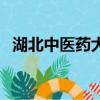湖北中醫藥大學成教（湖北中醫學院成教）