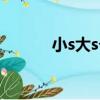 小s大s個人資料簡介（小s大s）