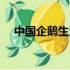 中國企鵝生活在哪里（企鵝生活在哪里）
