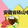 安徽省碭山中學錄取通知書（安徽省碭山中學）