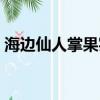 海邊仙人掌果實能吃嗎（仙人掌果實能吃嗎）