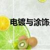 電鍍與涂飾是核心期刊嗎（電鍍與涂飾）