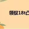 領馭18t凸輪軸鏈條更換（領馭1 8t）