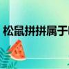 松鼠拼拼屬于哪家公司（松鼠拼拼怎么加入）