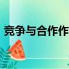 競爭與合作作文800字議論文（競爭與合作）