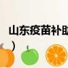 山東疫苗補助金是真的嗎（山東疫苗補種方案）