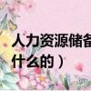 人力資源儲備干部是干什么的（儲備干部是干什么的）