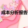 成本分析報告范文模板（成本分析報告范文）