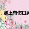 腿上有傷口腫了怎么辦（腿上傷口長滿了藤壺）