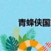 青蜂俠國家森林公園門票（青峰俠）