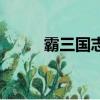霸三國志大戰怎么玩（新人提問）