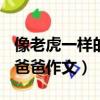 像老虎一樣的爸爸作文300字（像老虎一樣的爸爸作文）
