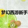 夢幻西游新手攻略手游（夢幻西游新手攻略）